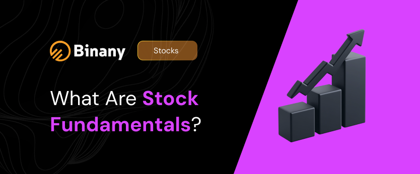 What are stock fundamentals: principles, types, how to use